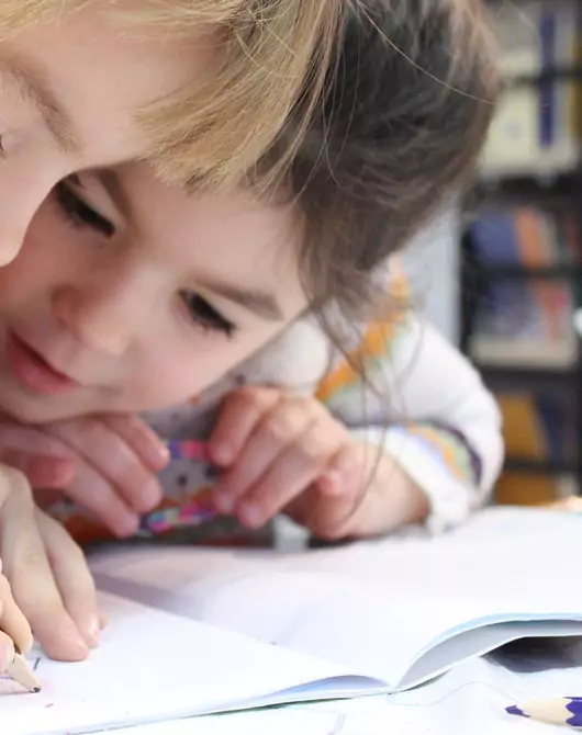 Early Learning Behaviours